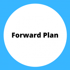 Click for Museum Forward Plan in a PDF format