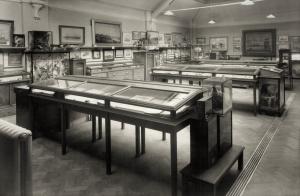A black and white photograph showing glass and wood museum cases with artwork, archaeology and taxidermy on display