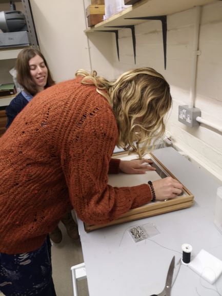 A member of staff learning to restring an entomology drawer