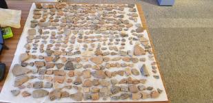 A huge selection of pieces of pot found in the Rustington bypass investigation. The sherds take up the full width of the table and are almost inumerable.
