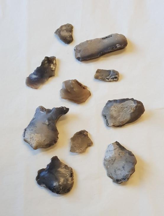 A selection of prehistoric flint tools lay on a white background